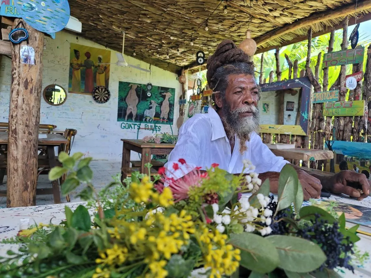 Wild Coffee Retreat Hotell Negril
