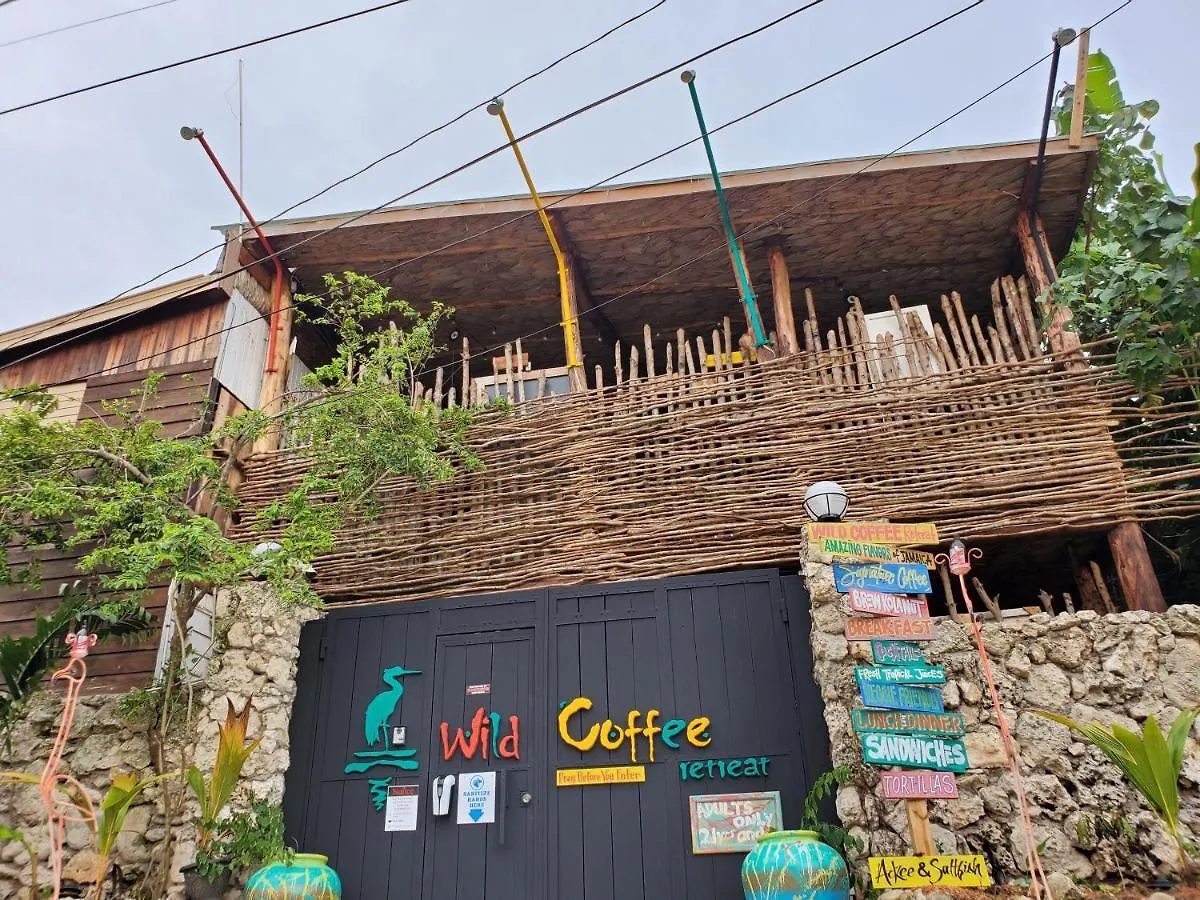 Wild Coffee Retreat Hotel Negril