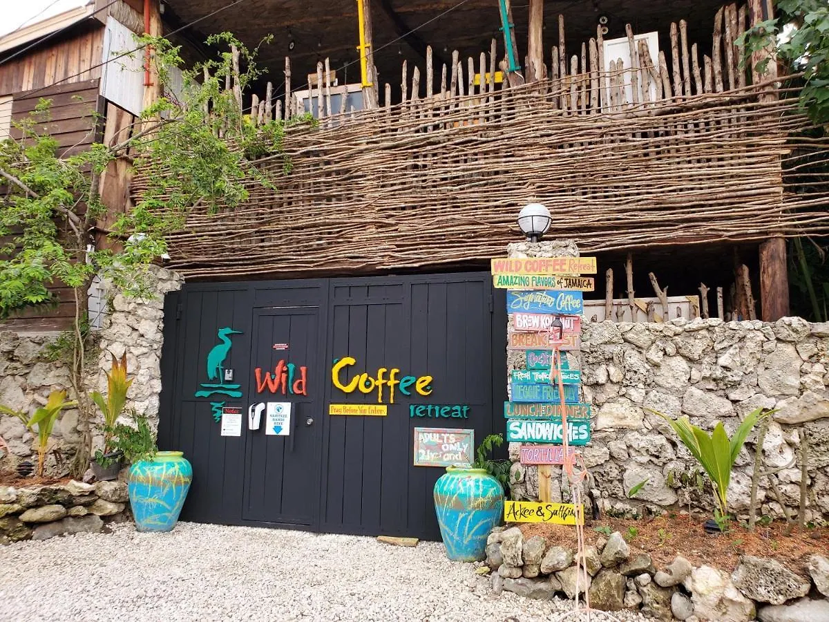Wild Coffee Retreat Hotel Negril