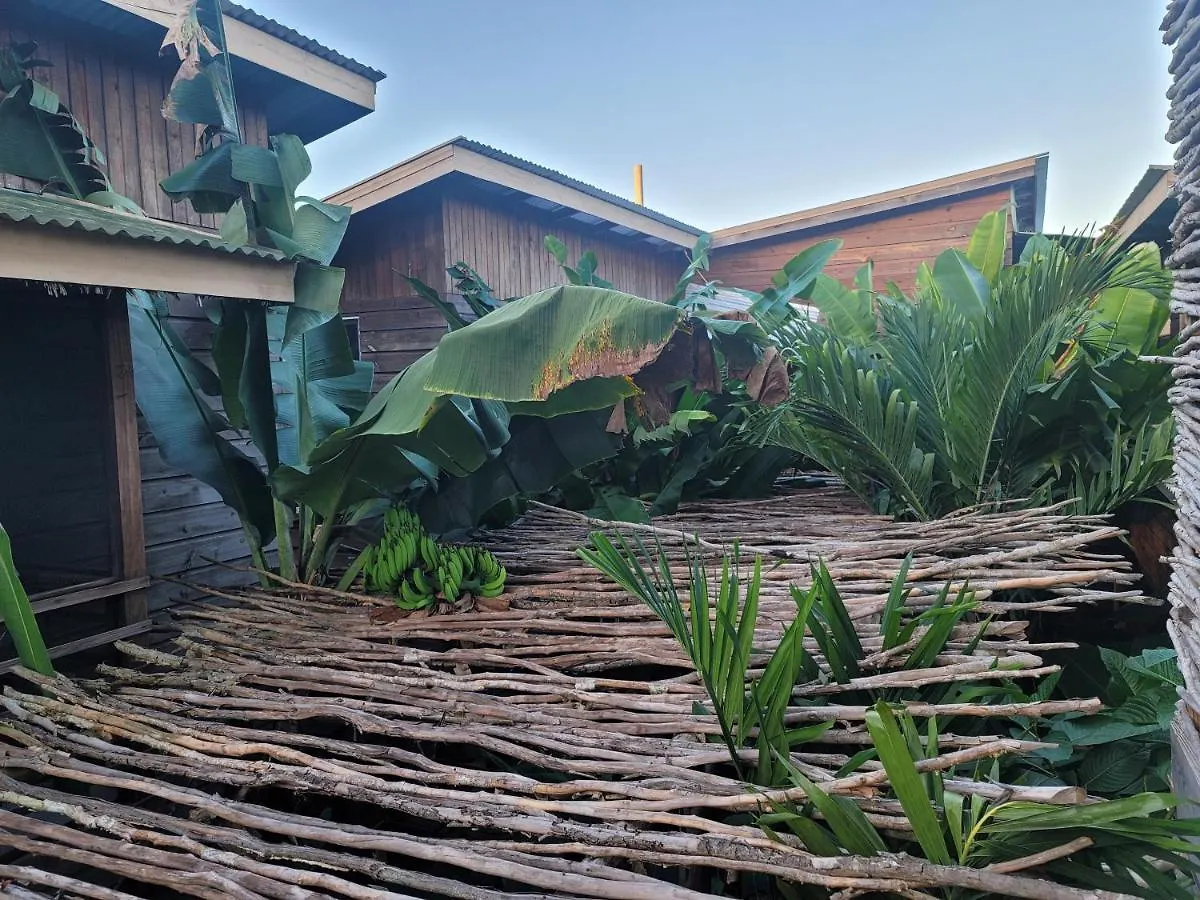 Wild Coffee Retreat Hotel Negril
