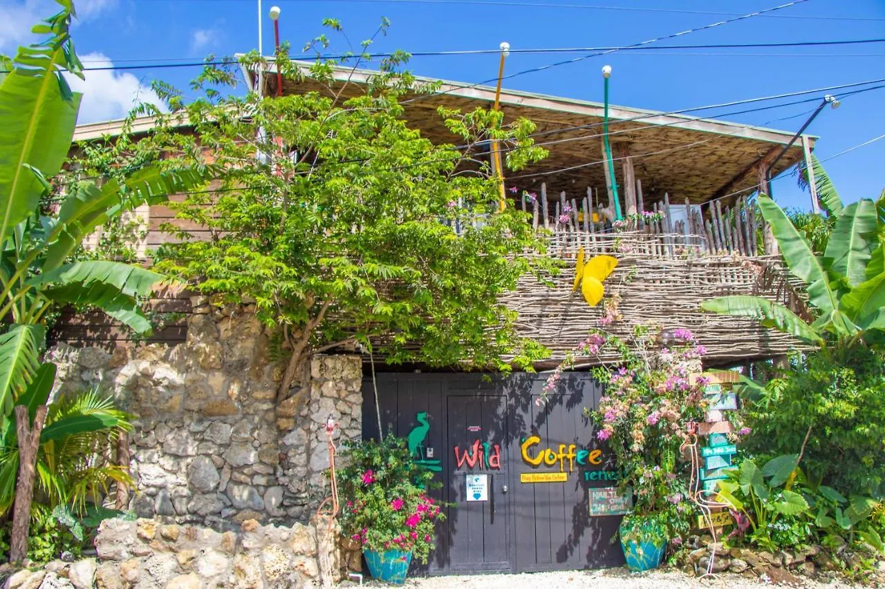 Wild Coffee Retreat Hotel Negril