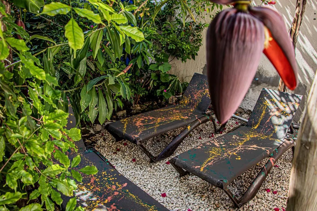 Wild Coffee Retreat Hotel Negril Jamaica