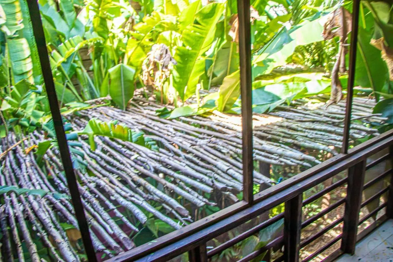 Wild Coffee Retreat Hotel Negril