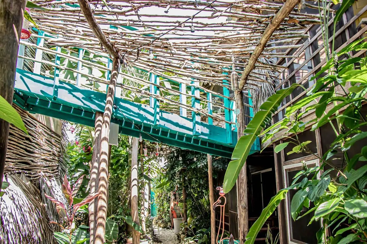 Wild Coffee Retreat Hotel Negril