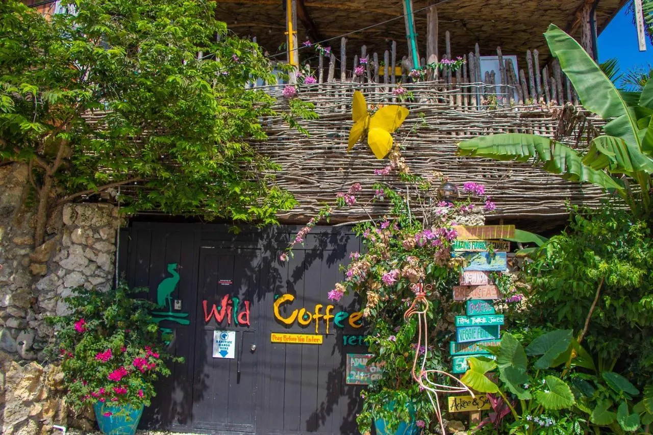 Wild Coffee Retreat Hotel Negril