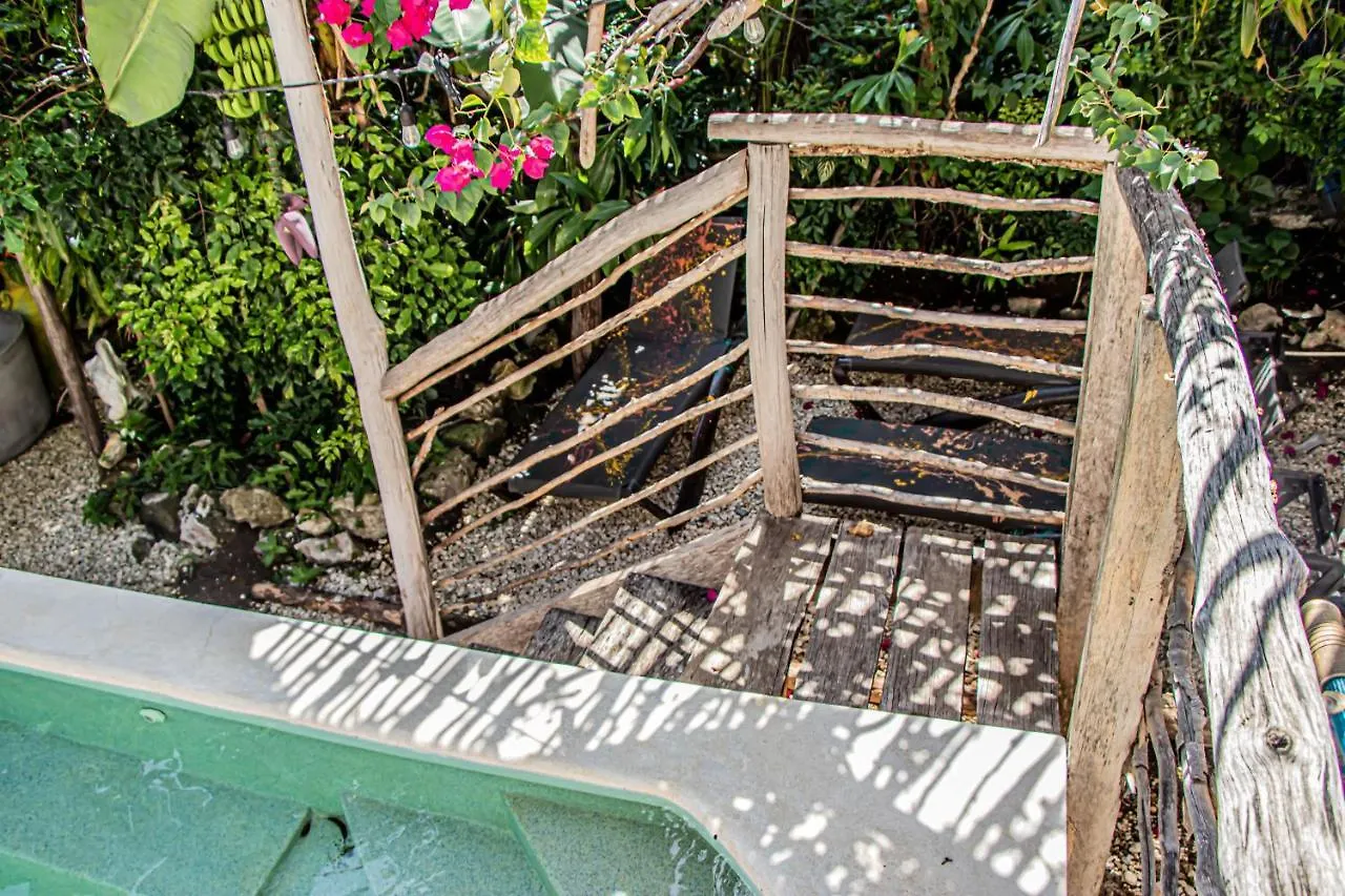 Wild Coffee Retreat Hotel Negril