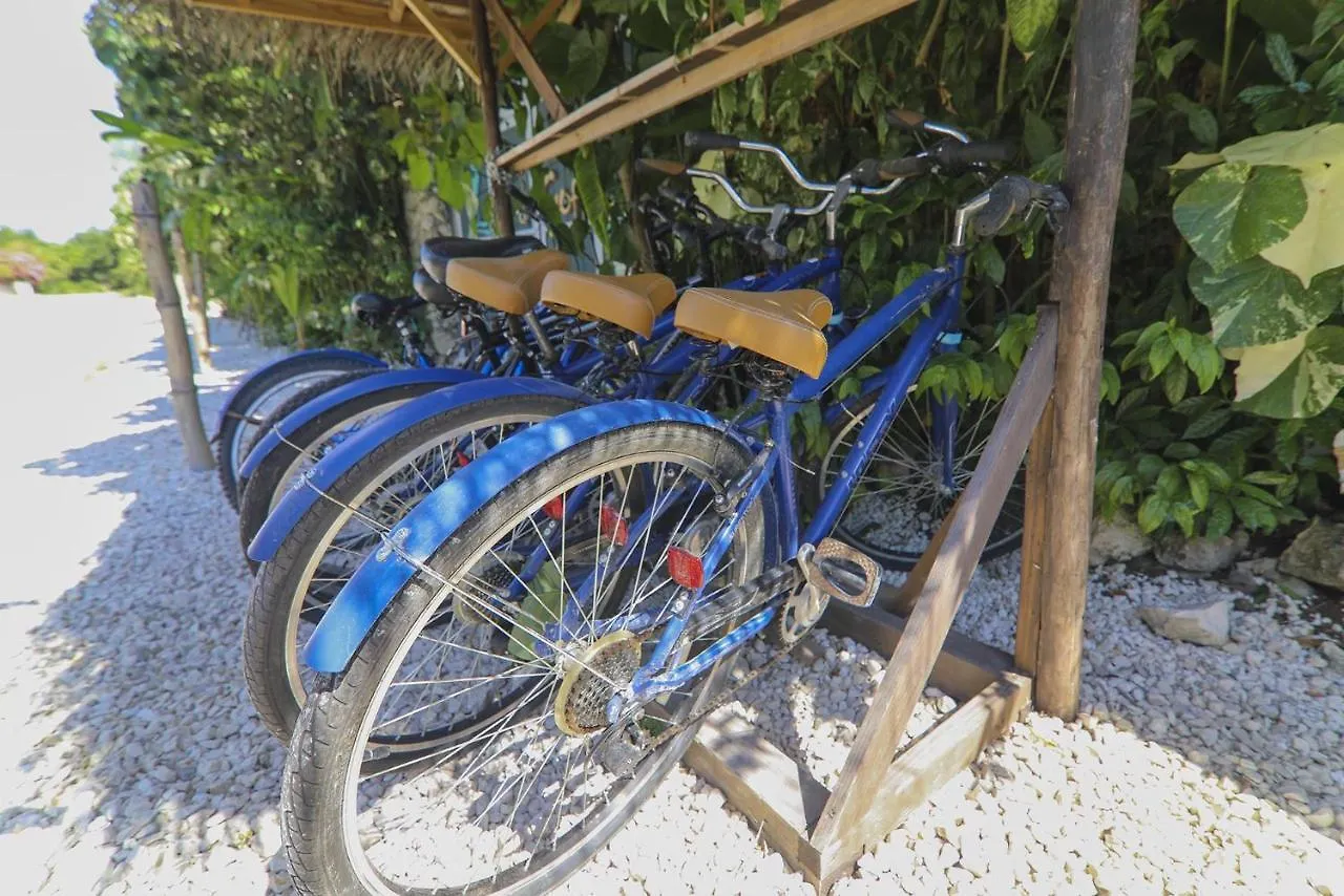 Wild Coffee Retreat Hotel Negril