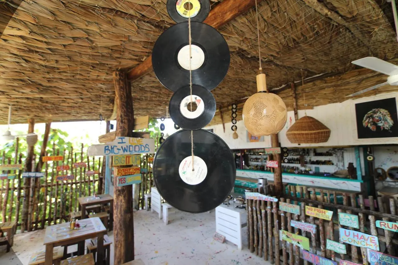 Wild Coffee Retreat Hotel Negril