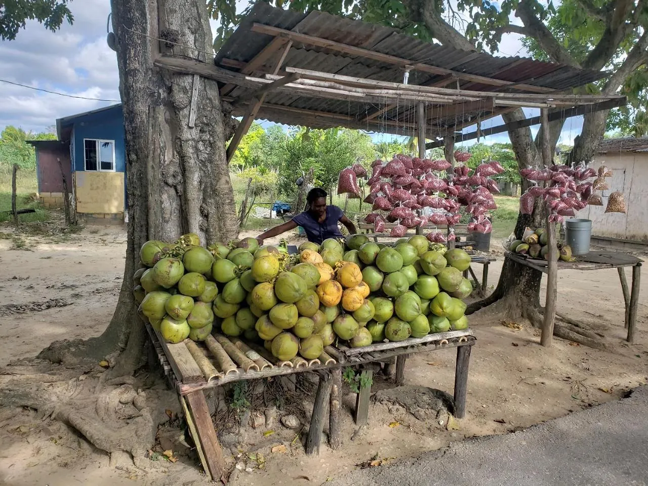 Wild Coffee Retreat Hotel Negril