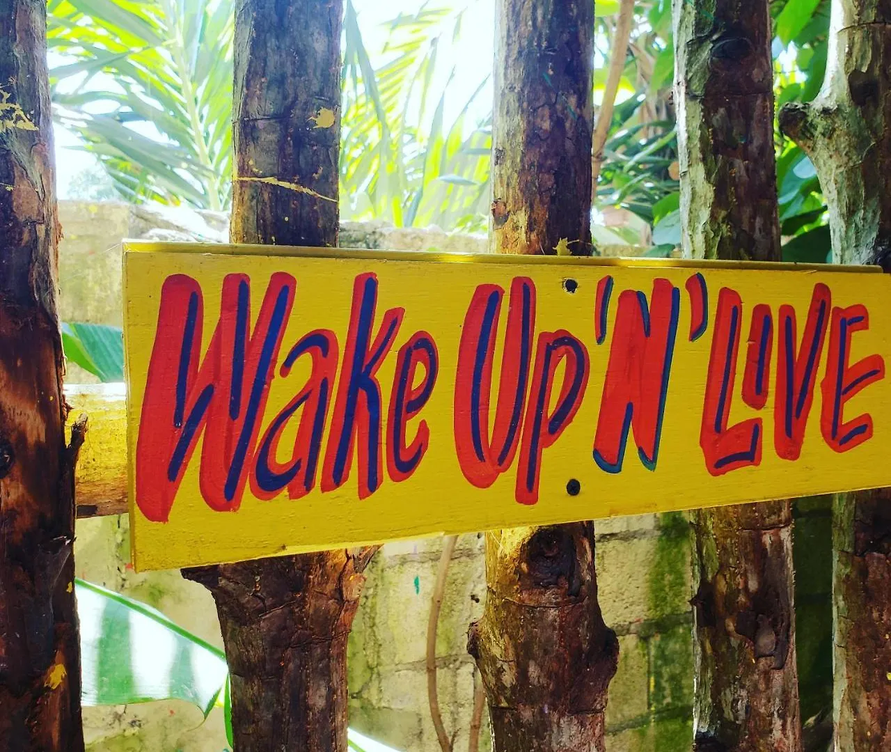 Wild Coffee Retreat Hotel Negril